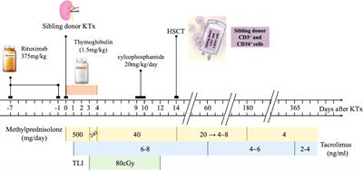 Immune tolerance induced by hematopoietic stem cell infusion after HLA identical sibling kidney transplantation